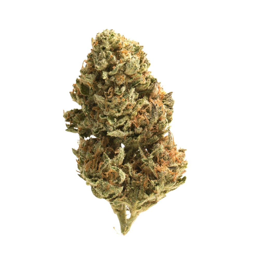 THCA Flower | Galactic Candy | Sativa | 1g